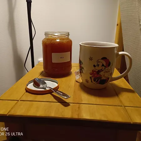 Svratouch36 Hébergement de vacances *